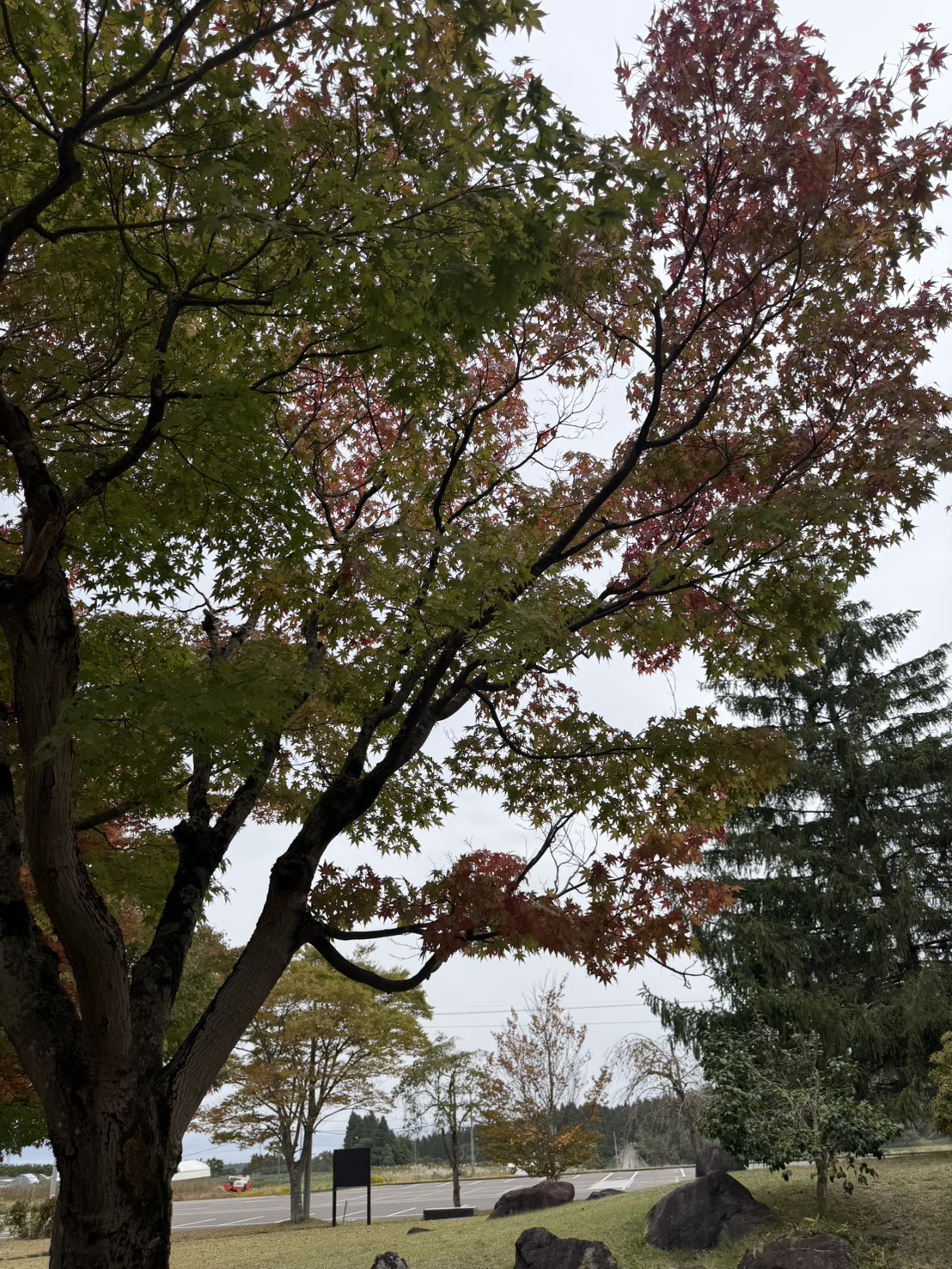 史跡慧日寺跡でのロケーション撮影