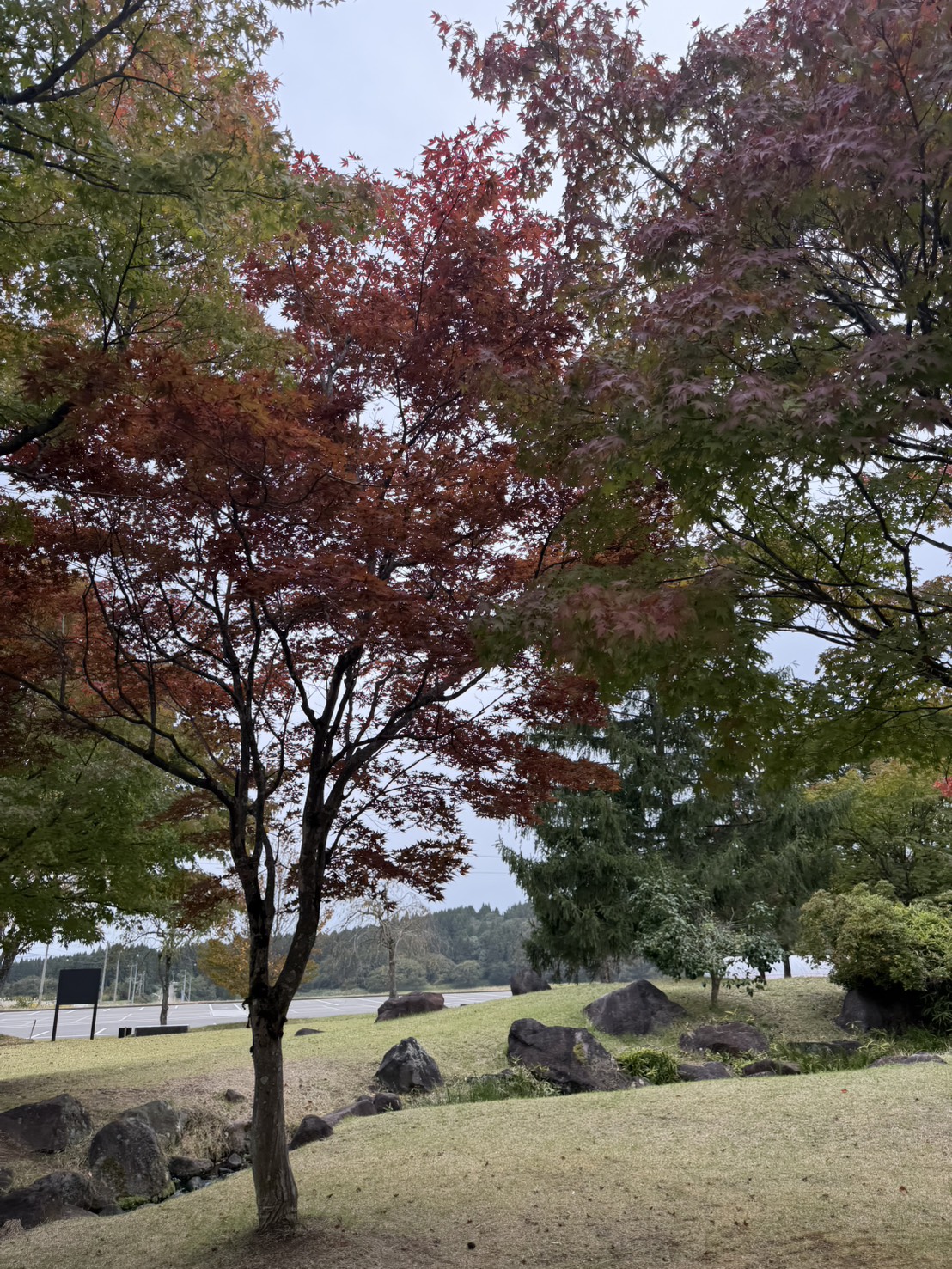 史跡慧日寺跡でのロケーション撮影