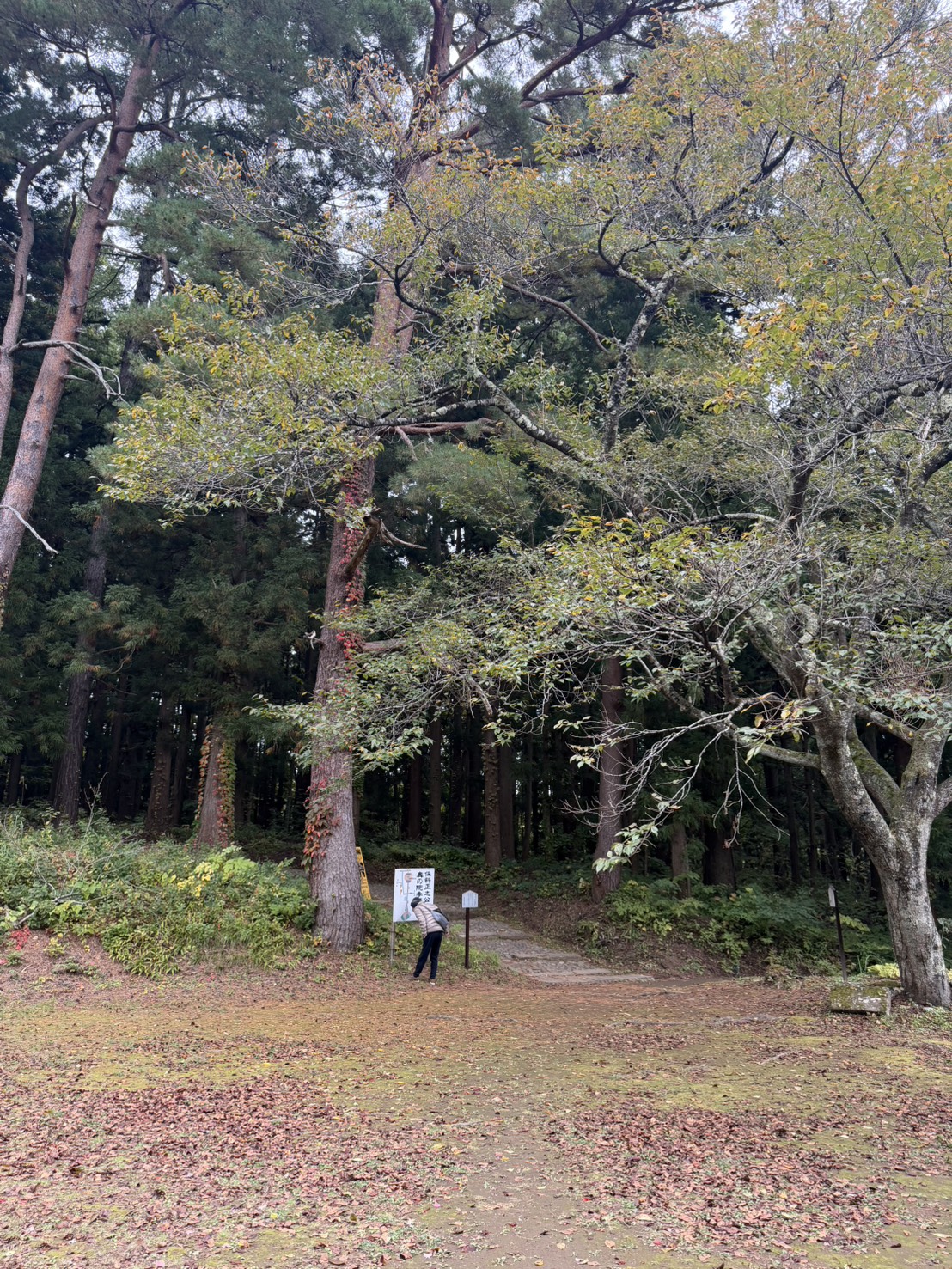 土津神社でのロケーション撮影