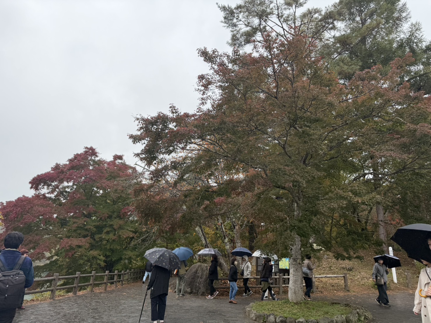 五色沼でのロケーション撮影