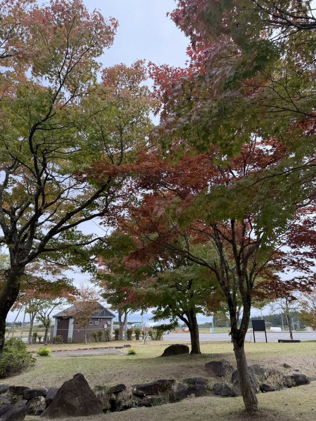 史跡慧日寺跡でのロケーション撮影