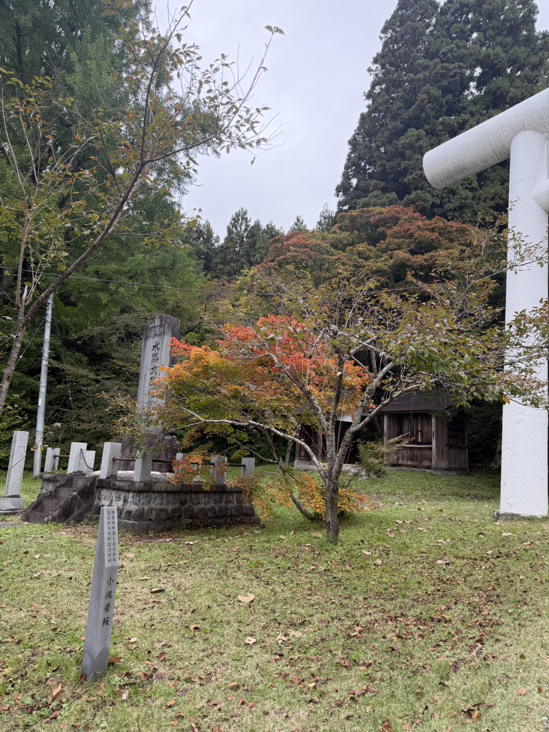 土津神社でのロケーション撮影