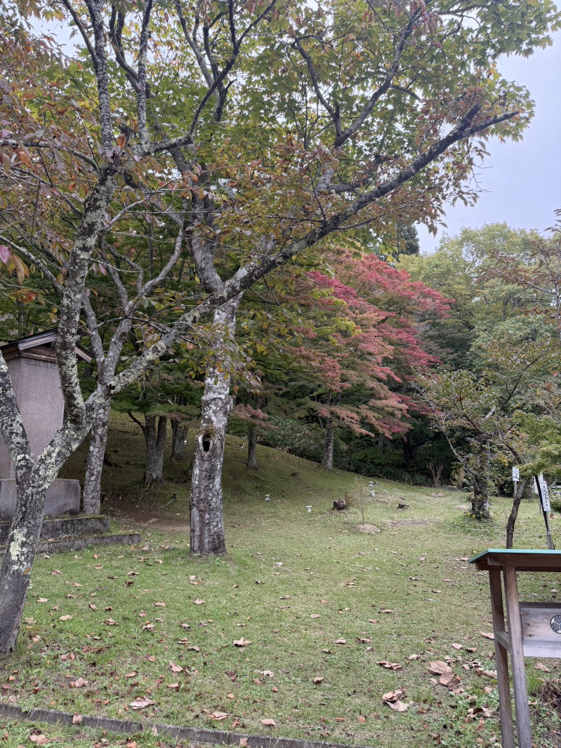 土津神社でのロケーション撮影