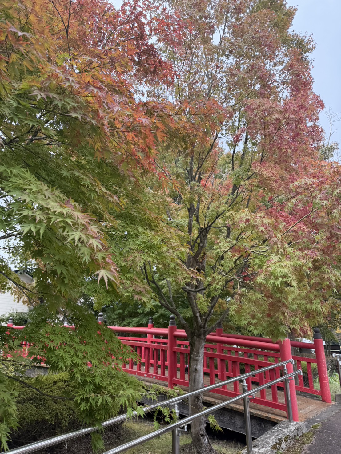 史跡慧日寺跡でのロケーション撮影