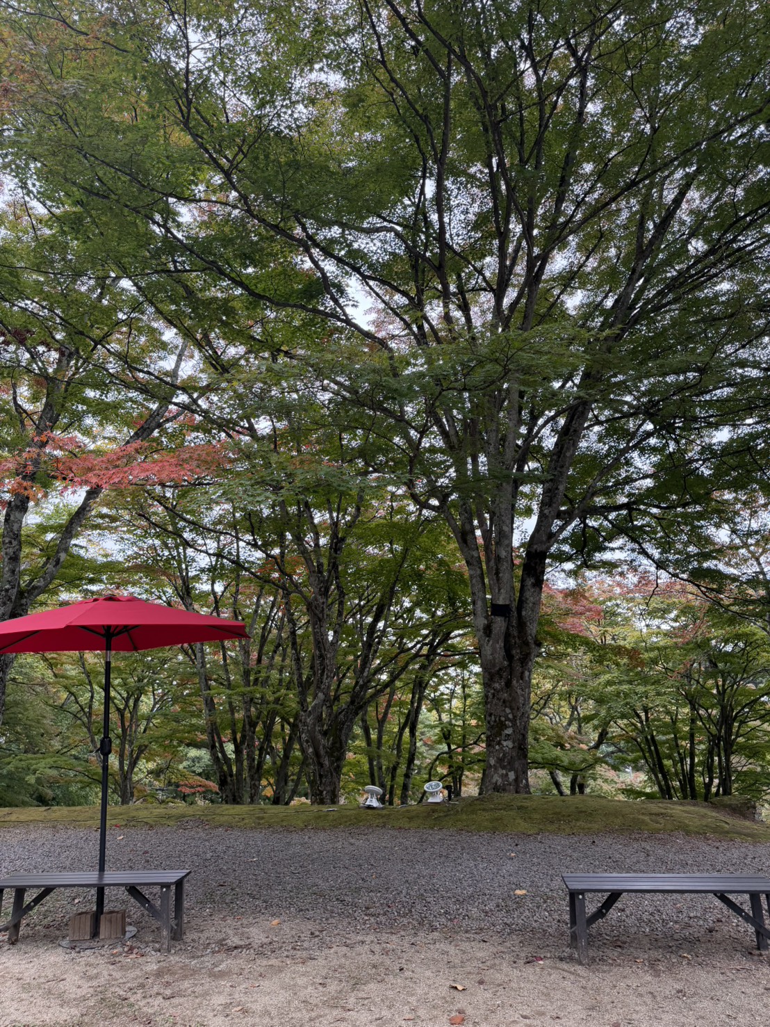 土津神社でのロケーション撮影